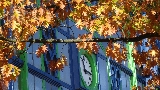 PRC_ciels_0003