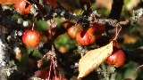 PRC_ciels_0015